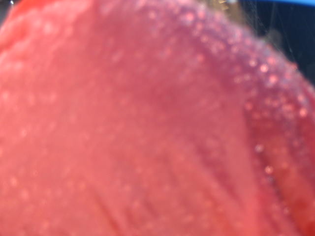 088